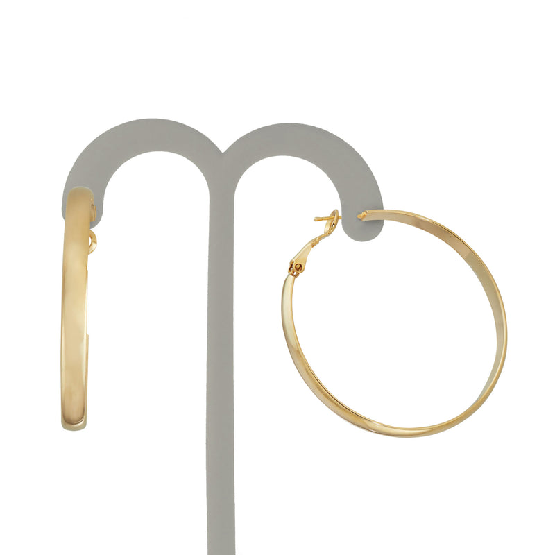 J00528-50 Earrings in Branded Box