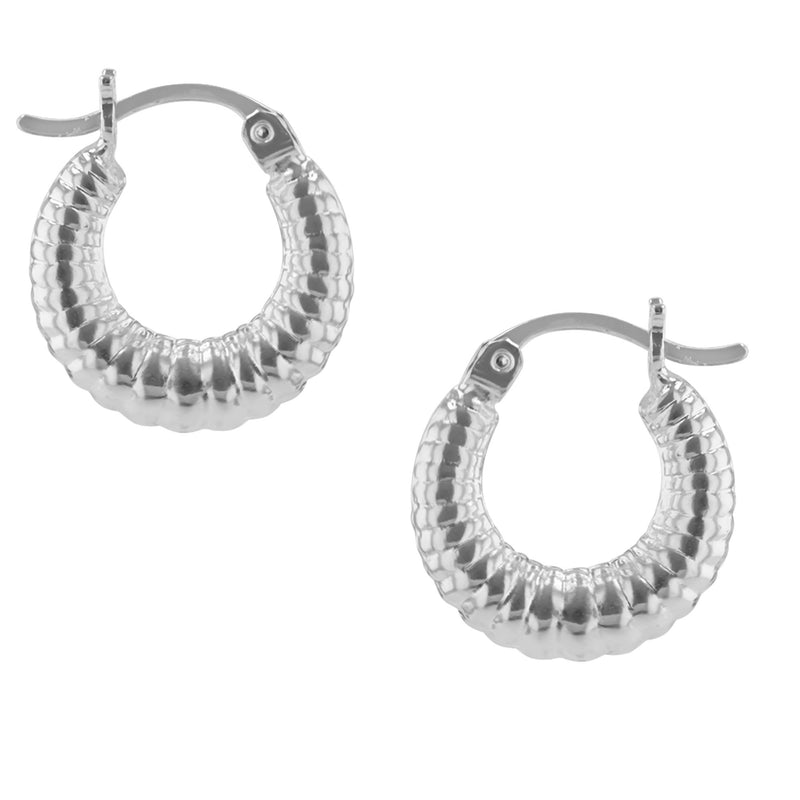 JS5527-E-SP Earrings
