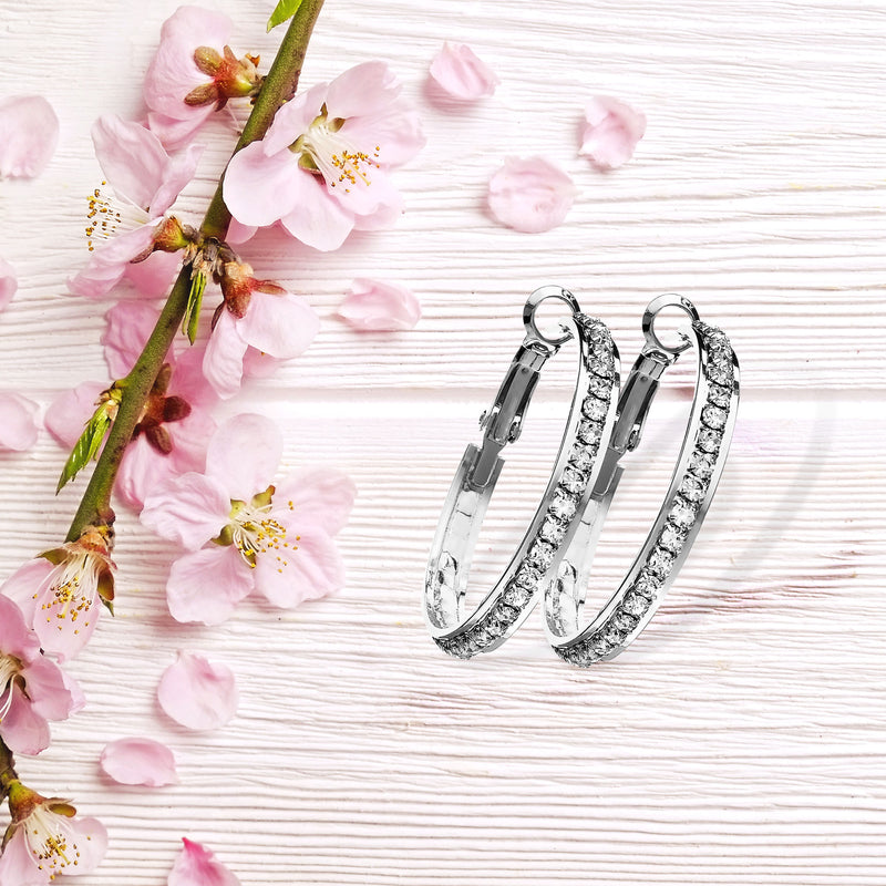 CC05003/W/30 Earrings
