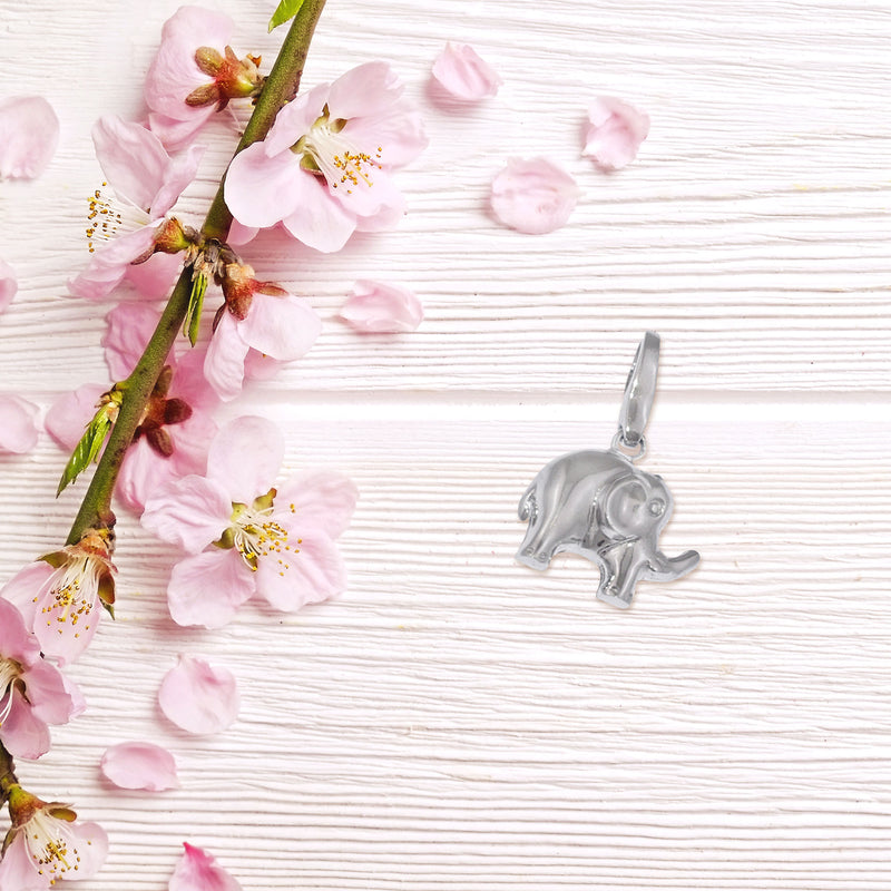 GC0047 Charm