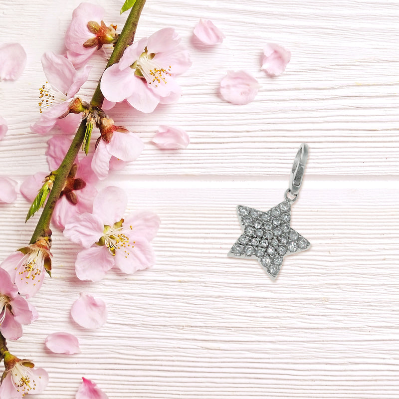 GC0106 Charm