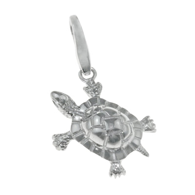 GC0172 Charm