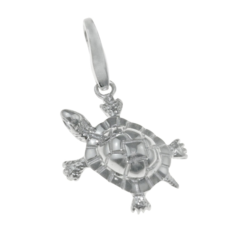 GC0172 Charm