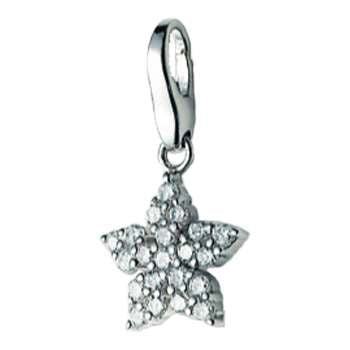 GC0228 Charm
