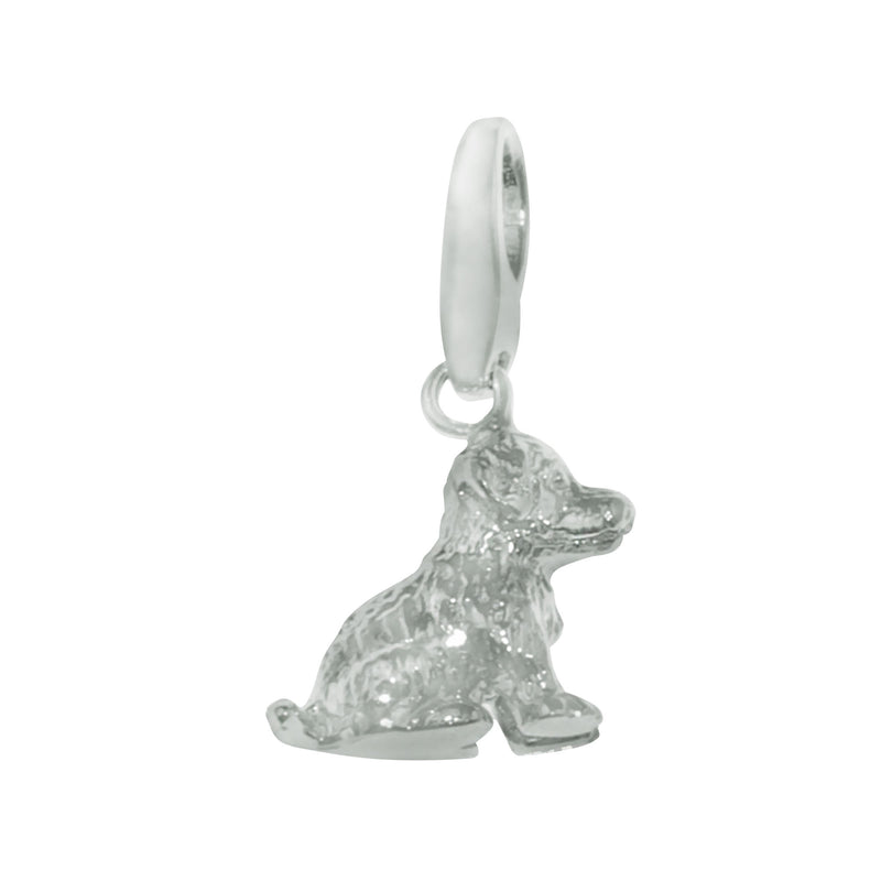 GC0279 Charm