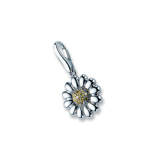 GC0532 Charm
