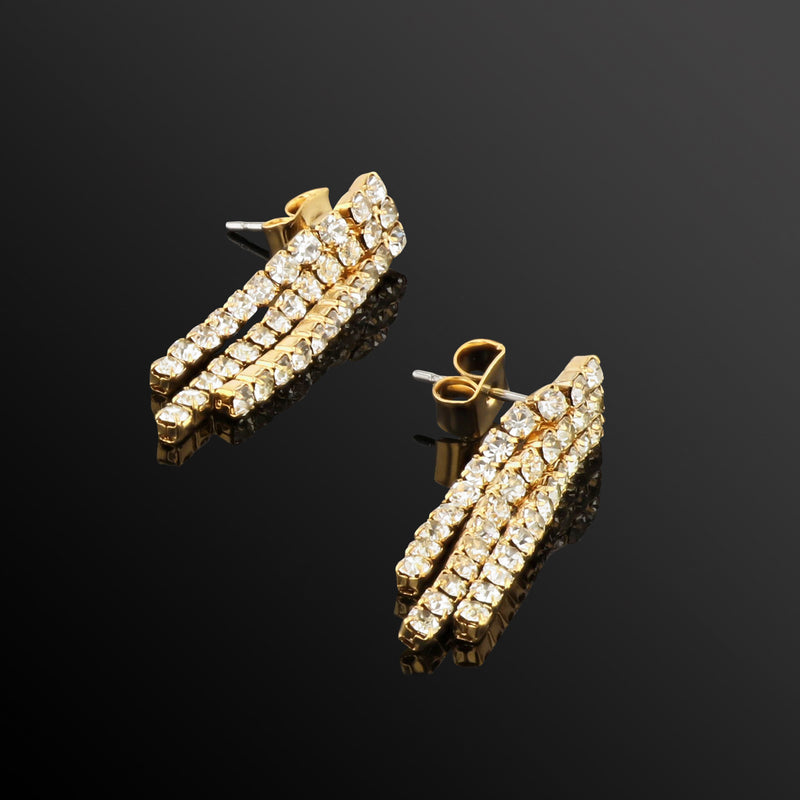 J00233 Earrings