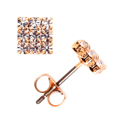 J00250 Earrings