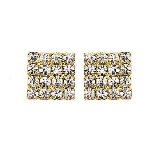 J00253 *** Earrings