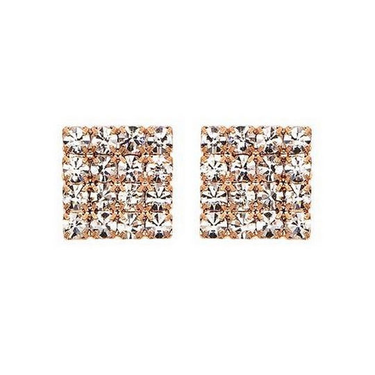 J00254 *** Earrings