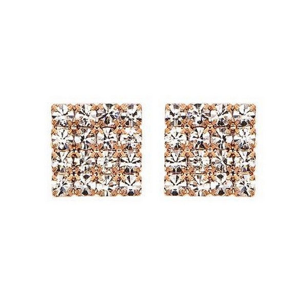 J00254 *** Earrings
