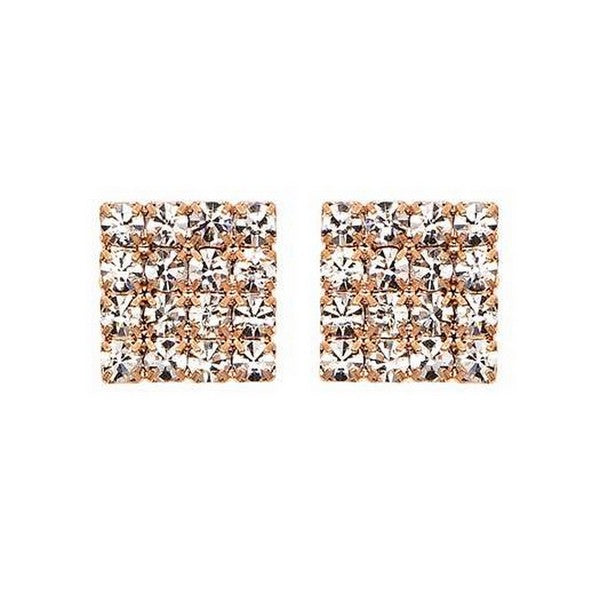 J00254 Earrings