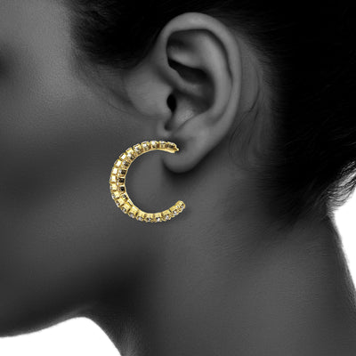 J00269 Earrings