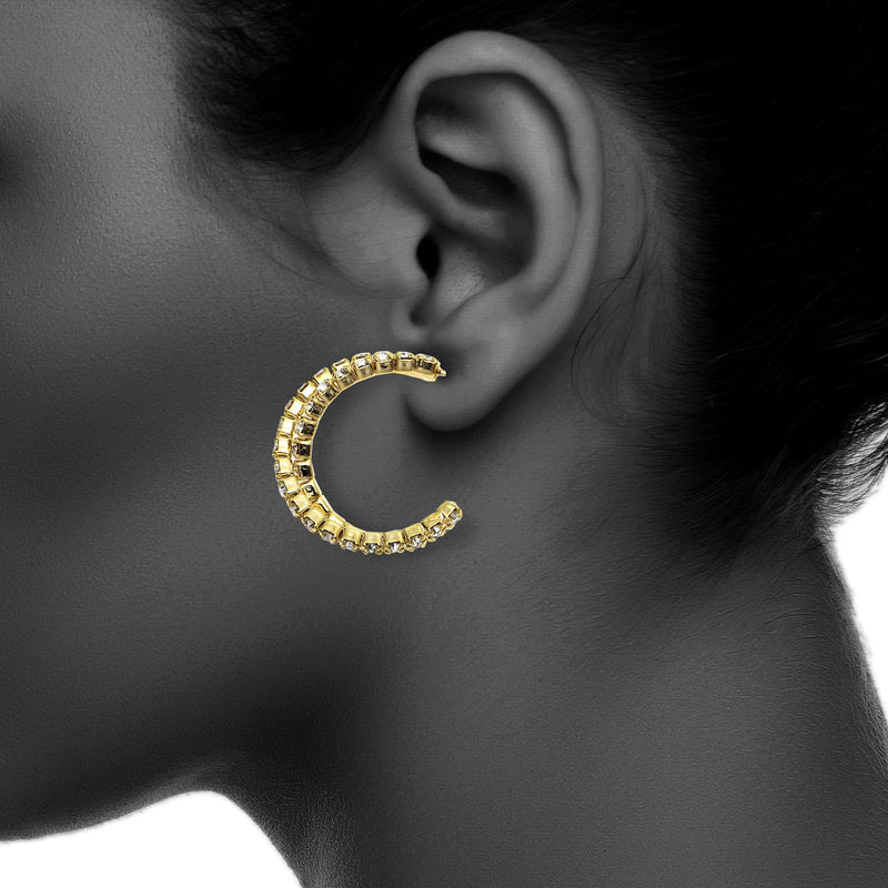 J00269 Earrings