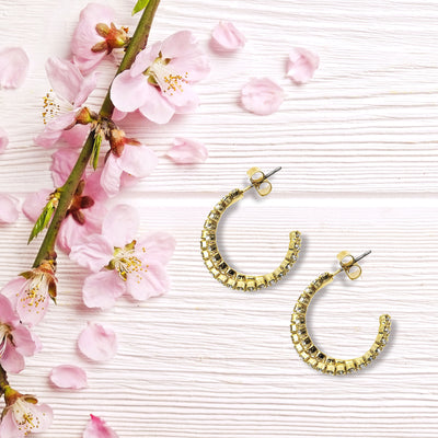 J00269 Earrings