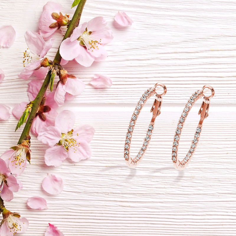 J00409/30/R Earrings