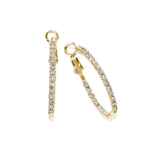 J00409/30/Y Earrings