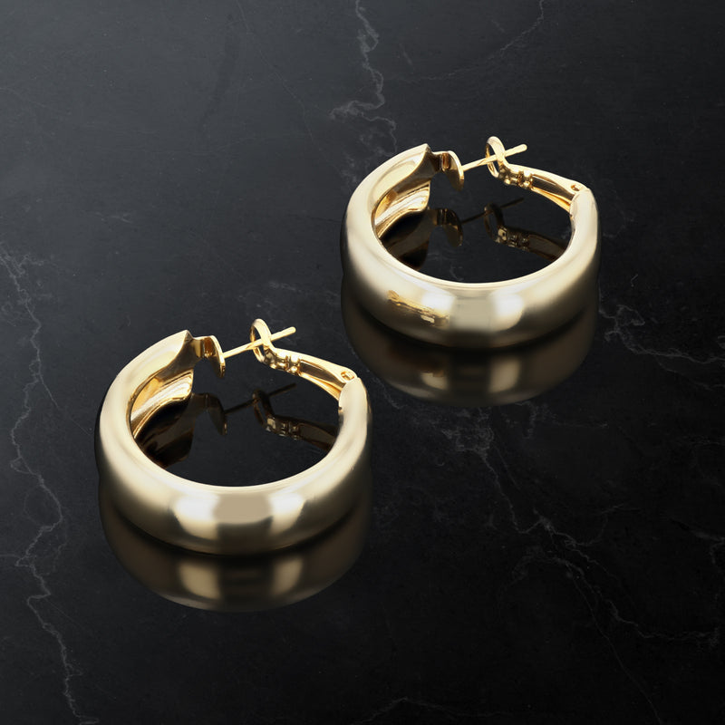 J00512/30 Earrings