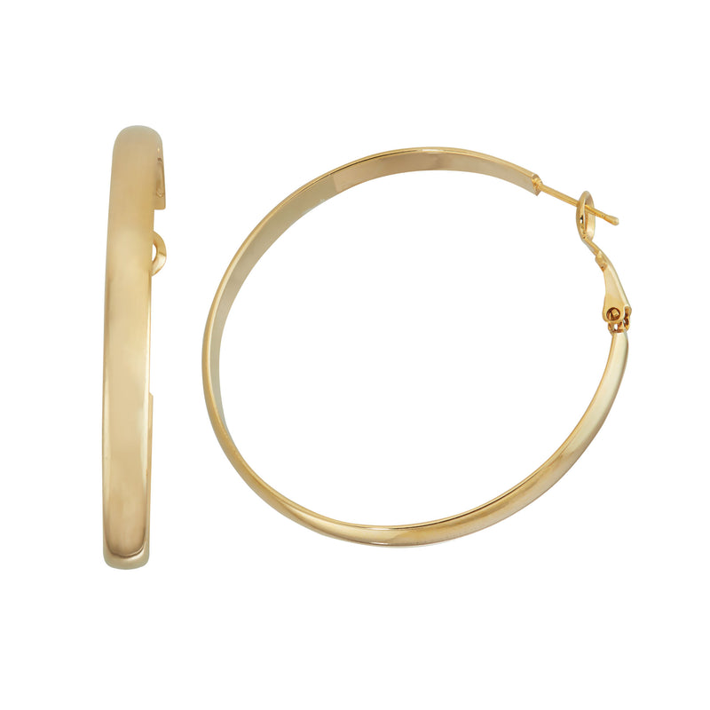 J00528/50 Earrings