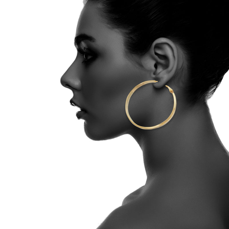 J00528/50 Earrings