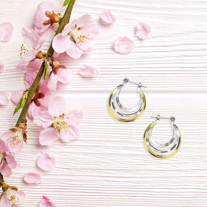 J00545-S Earrings in Branded Box