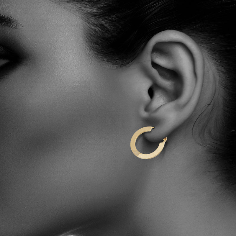 J00620/30 Earrings