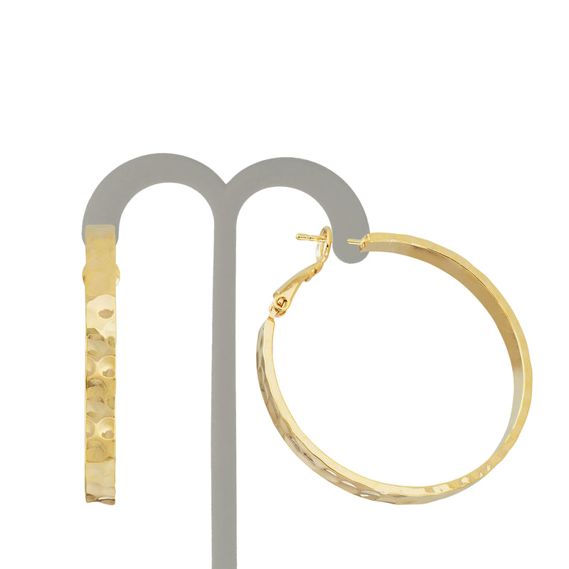 J00678-40-Y Earrings in Branded Box