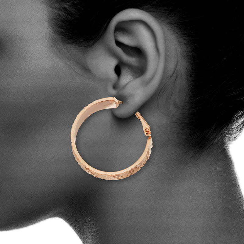 J00689/R Earrings