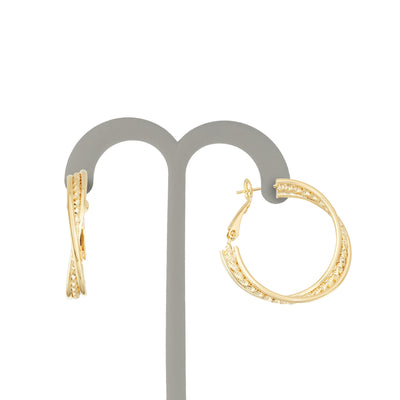 J00721-30 Earrings in Branded Box