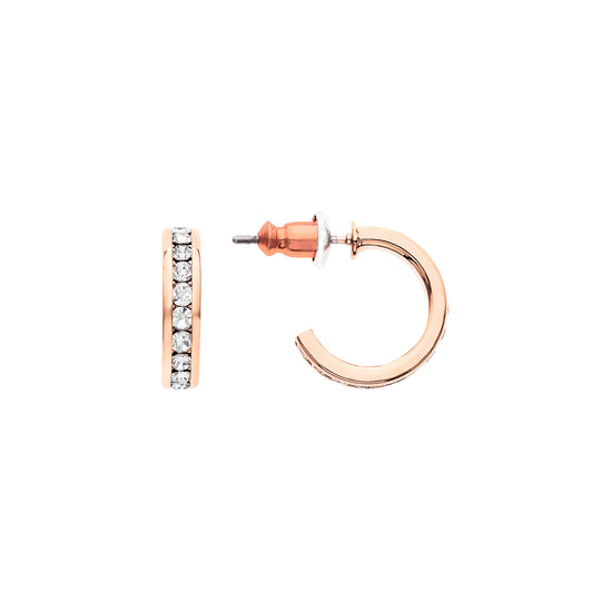 J01537/13.5/R/CRY Earrings