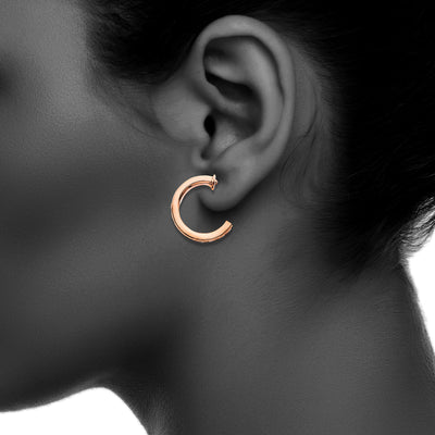 J01537/13.5/R/CRY Earring