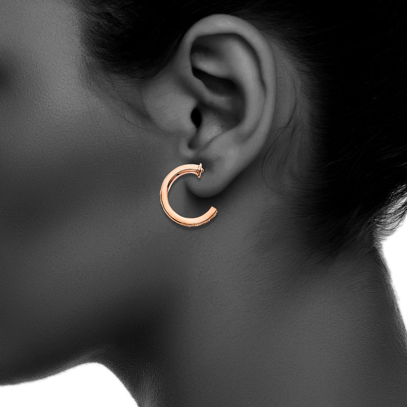 J01537/13.5/R/CRY Earring