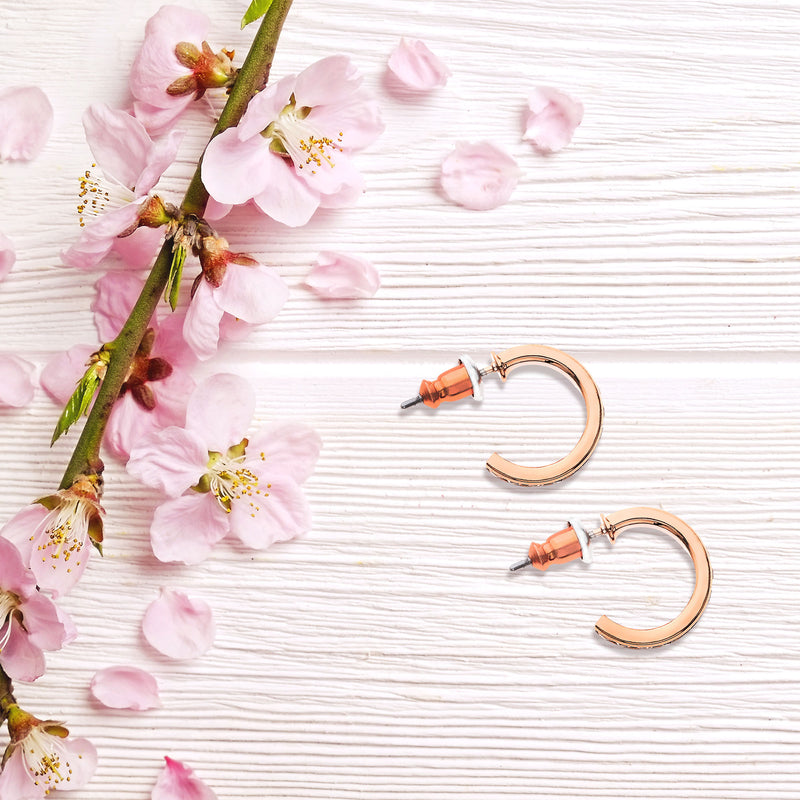 J01537/13.5/R/CRY Earring