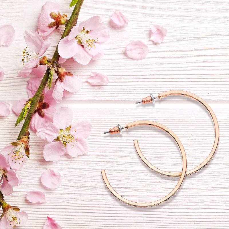 J01537/40/R/CRY Earrings