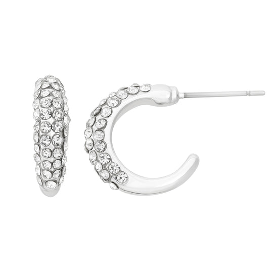 J05146/W Earrings