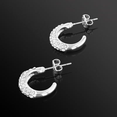 J05146/W Earrings