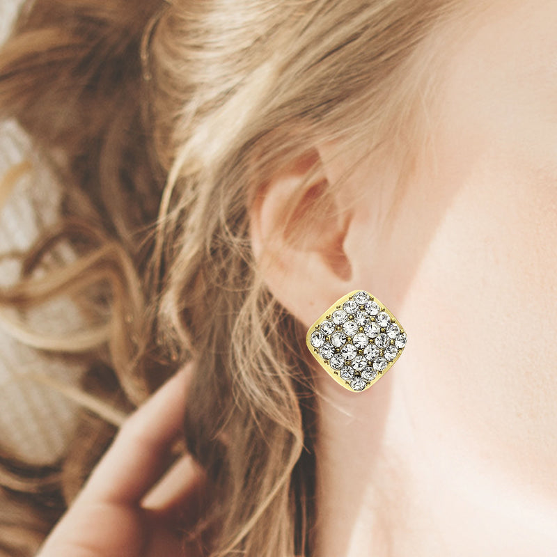 J05255/Y Earrings