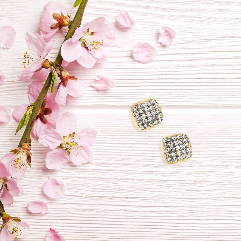 J05255/Y Earrings