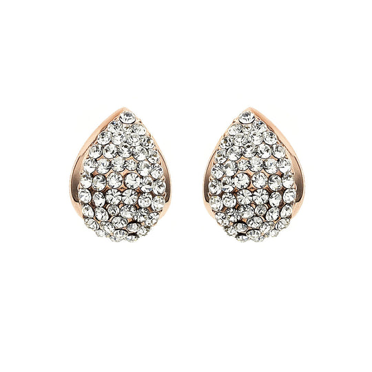 J05258/R Earrings