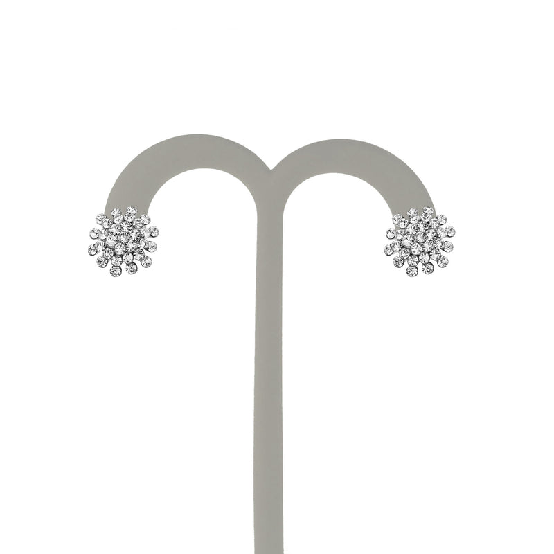 J05259/W Earrings