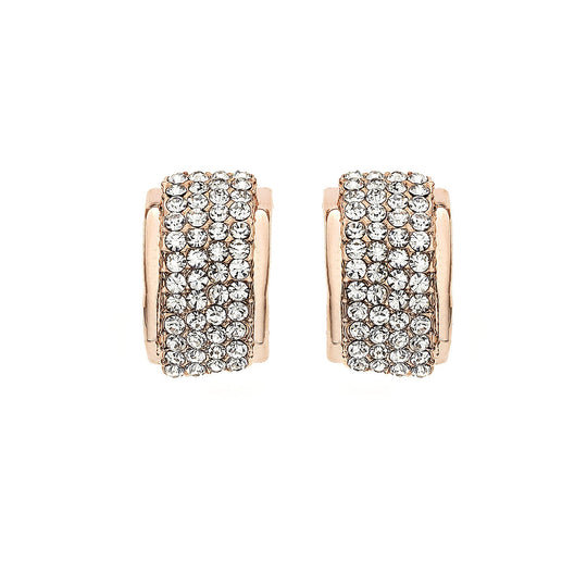 J05263/R Earrings