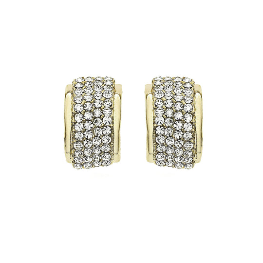 J05263/Y Earrings