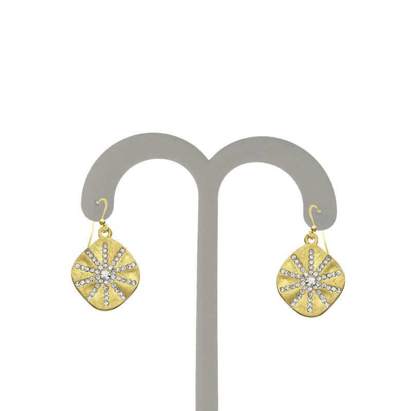 J06044/Y Earrings
