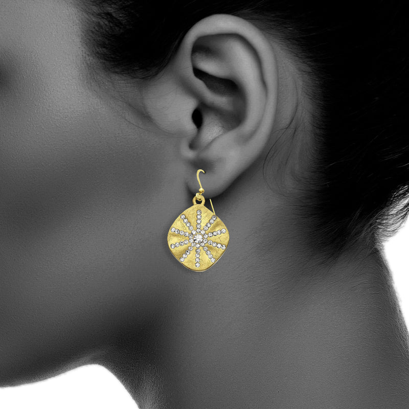 J06044/Y Earrings