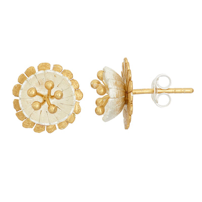 JS1435/E/YW Earrings