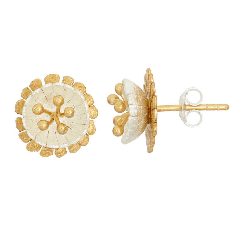 JS1435/E/YW Earrings