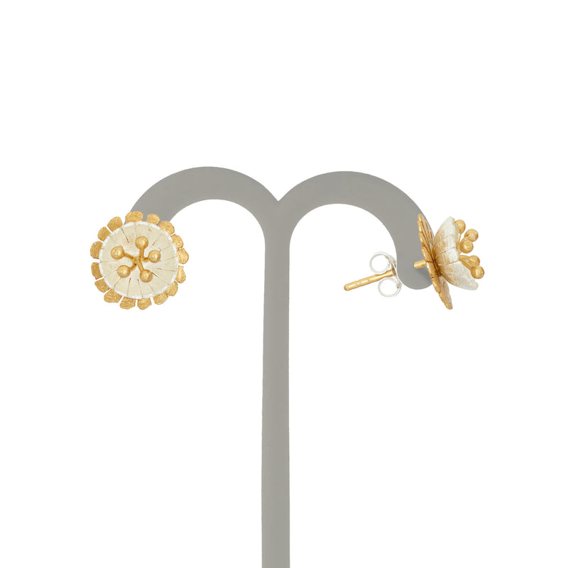 JS1435/E/YW Earrings