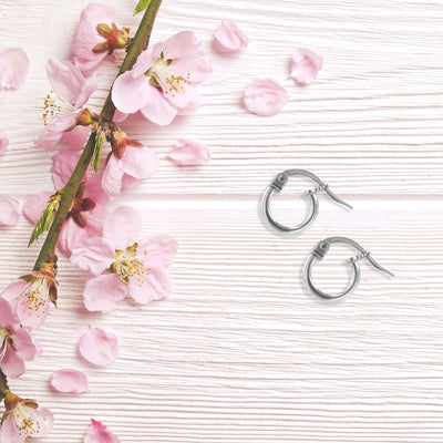 JS3060/SP/10/POL Earrings