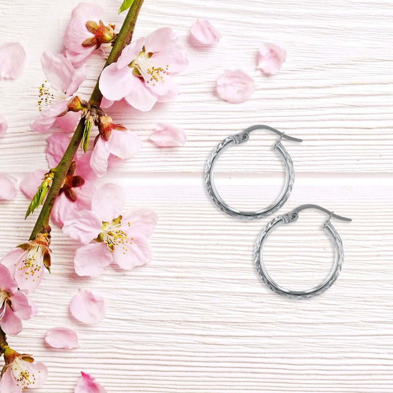 JS3061/SP/15/2DC Earrings