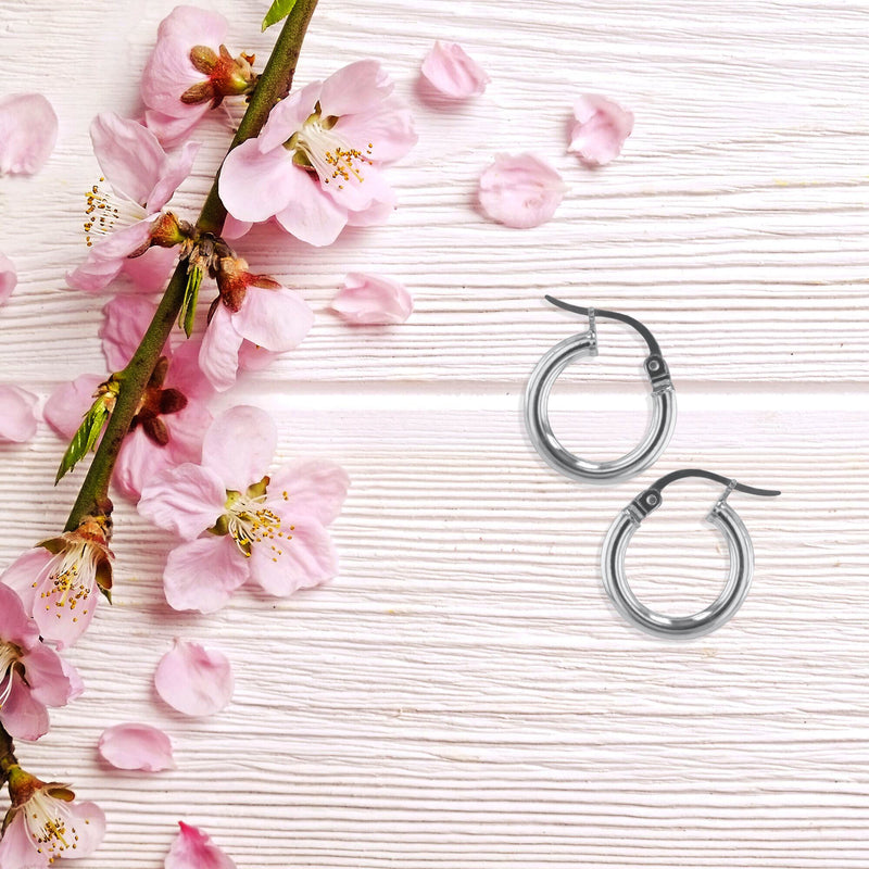 JS3062/SP/15/POL Earrings